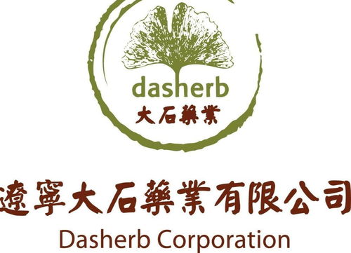 辽宁大石药业