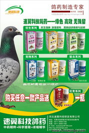 速翼科技药业携手中国信鸽信息网，共促药业科技与鸽业融合发展